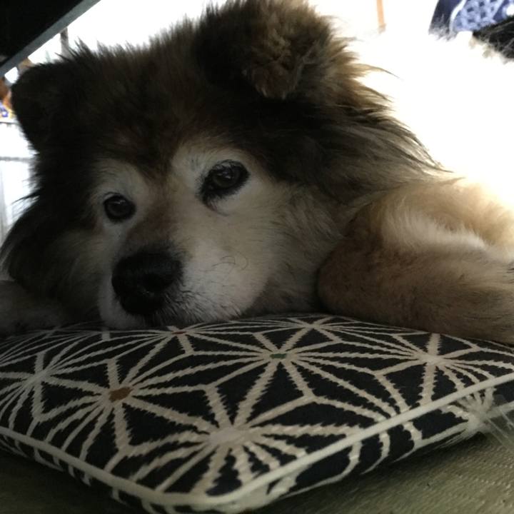 2f9f75d7 6c10 48f2 894b 8e7b144ef323 1594004250095