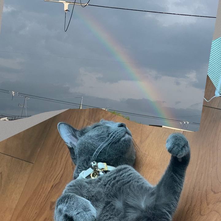 2f9f7c30 c3d2 4668 b0bb f8b7858cdec0 1660463184061