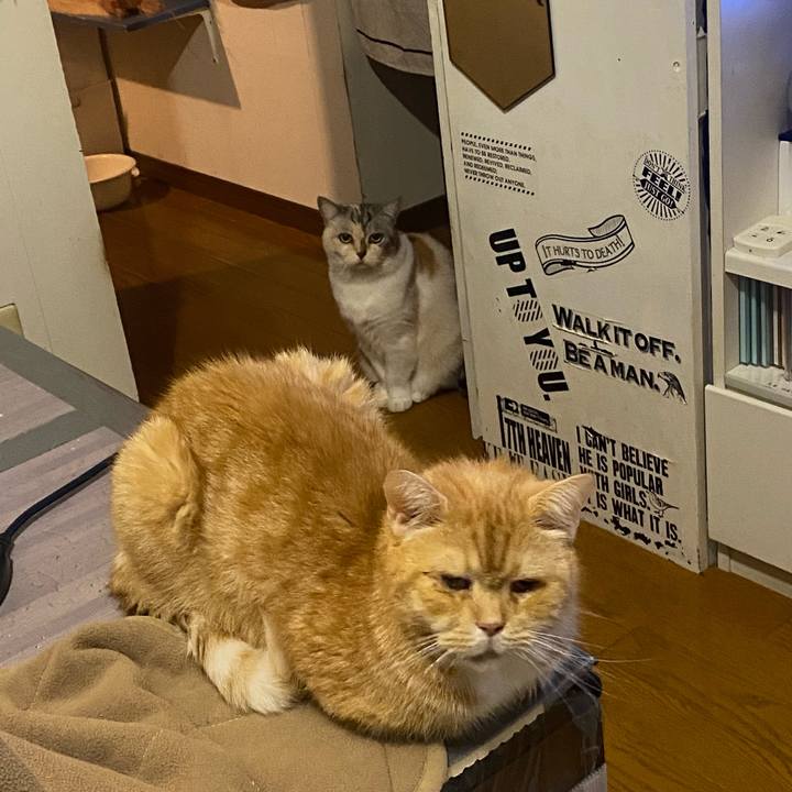 2f9f7d9d 0a5b 4b09 a6a1 4cfa7f2eb329 1666127681041