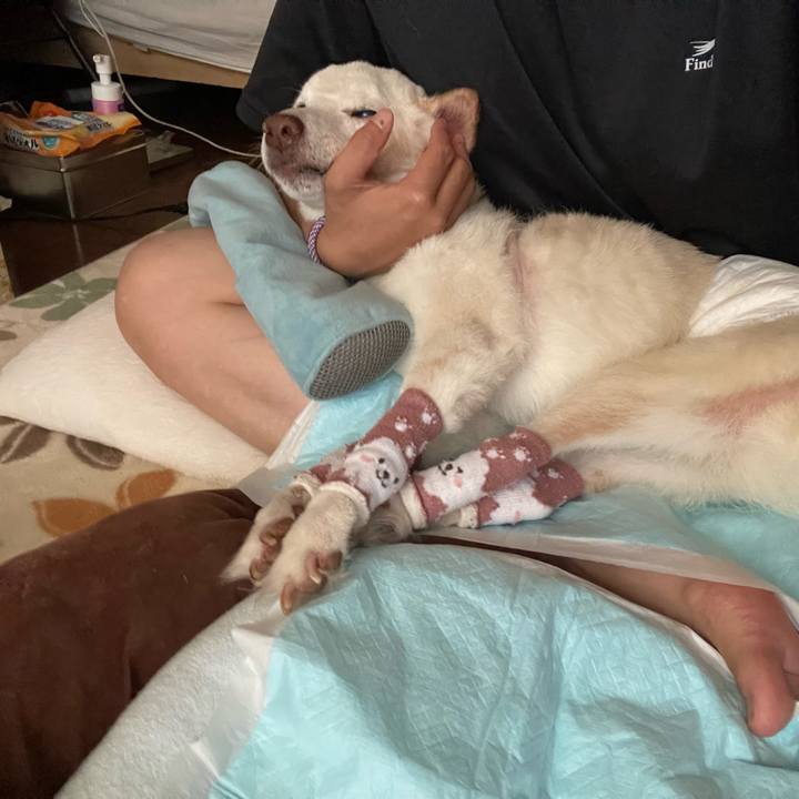 2f9f7fc0 2527 4d74 9147 30d09831dc42 1690236690772