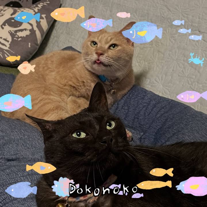 2f9fa153 dd39 4cde ab7b 03f670f80276 1755085830093