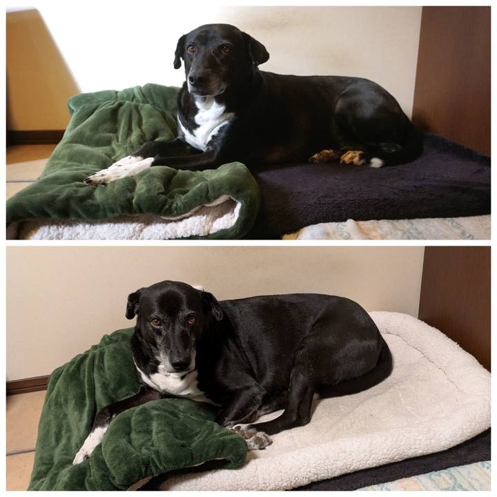 2f9fa372 353e 483c 9fd0 1bcbbce4936e 1763549816092