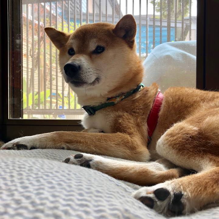 2f9fc702 9eed 44cd a72c 61eb0ad440ae 1525234740755