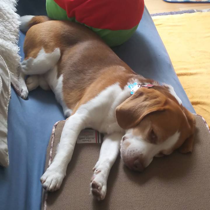 2fa01c26 7b41 4e94 835a 878c297c9b2e 1654576060695