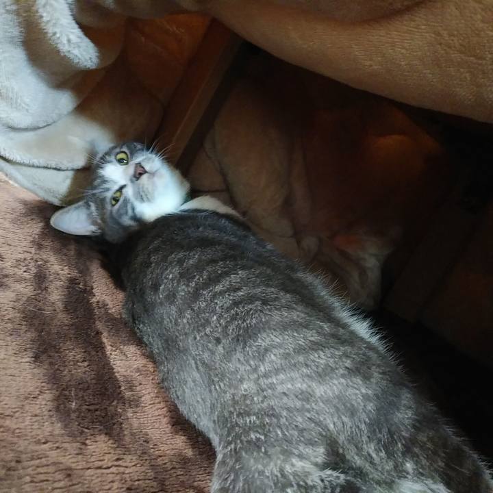 2fa02a4b 4a5d 49e7 a881 f393aca12747 1582245660479