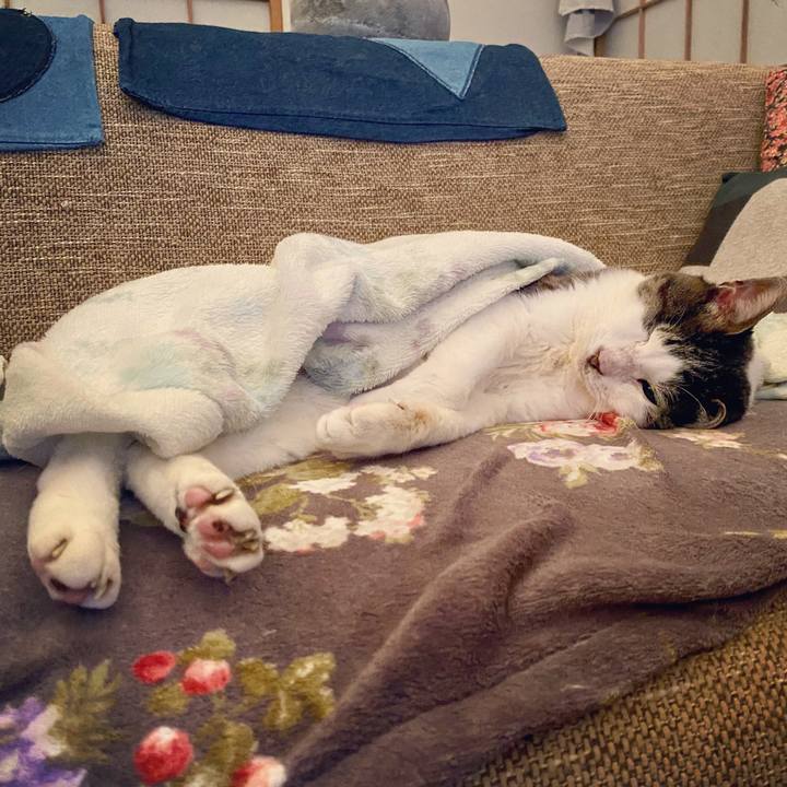 2fa0377f f3eb 427c b2e7 d2a75bce0c70 1591100207614