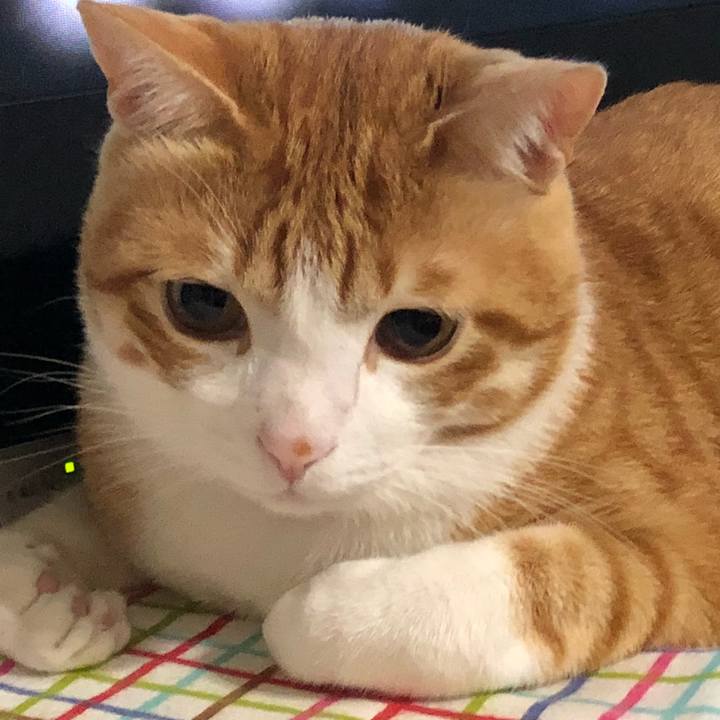 2fa041ee 6f95 4043 bf86 bdeb2593c30f 1513685388339