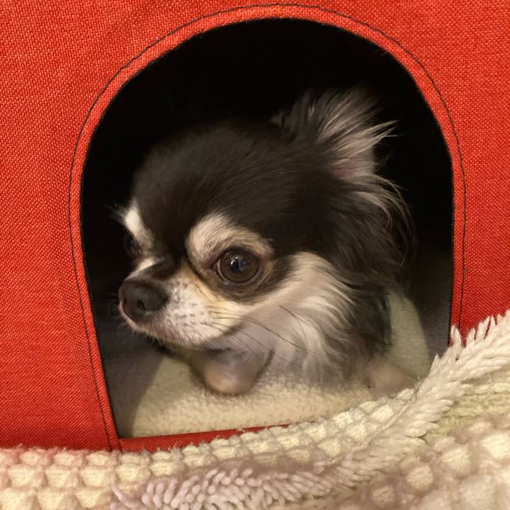 2fa06b19 f46c 4d6c 966d 509da161a871 1715513592209