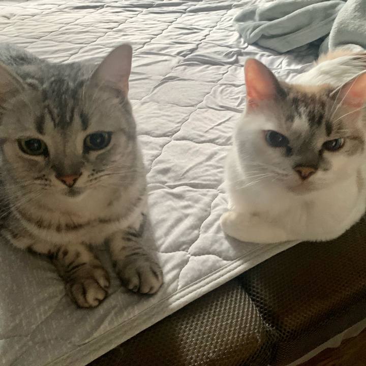 2fa0a0a9 1a39 4b70 945a 2552a0ad3528 1665182395193