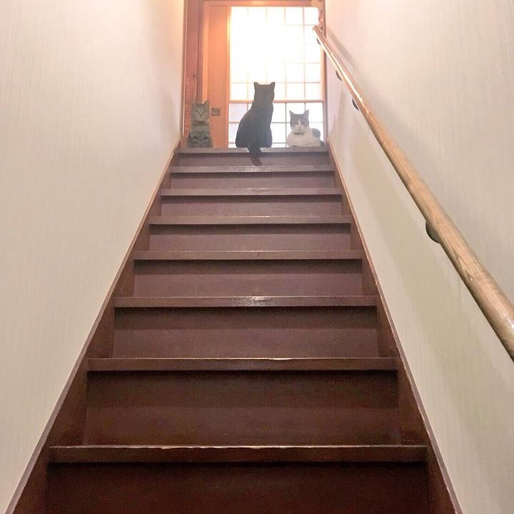 2fa0a7e2 89d1 4975 951a 0ee48d8b6c4c 1511487579938