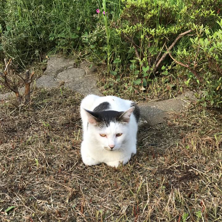 2fa102be 763b 4ea0 974e 1cc6fde6dcfc 1524642336648