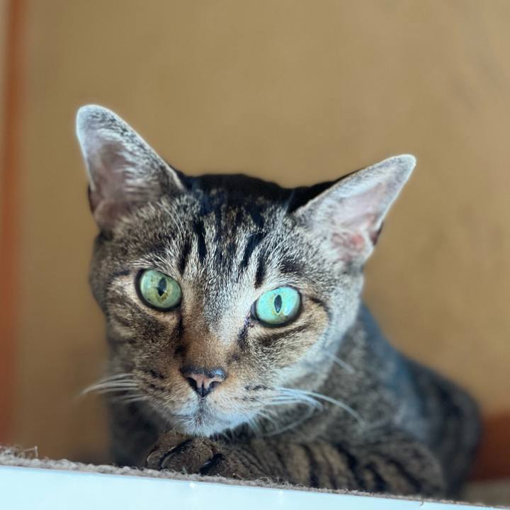 2fa102d4 0e7b 4978 aafd 197a7c4864d5 1630544302902