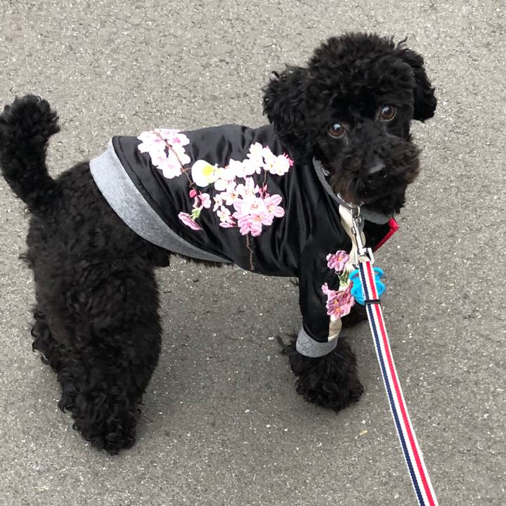 2fa14b61 fd1a 462d 9341 3a514aa9b0c4 1551567233364