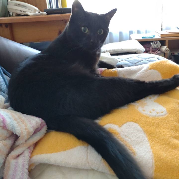 2fa14f8f 5ed9 4d81 a6eb 873ec64fe8ef 1666995903654