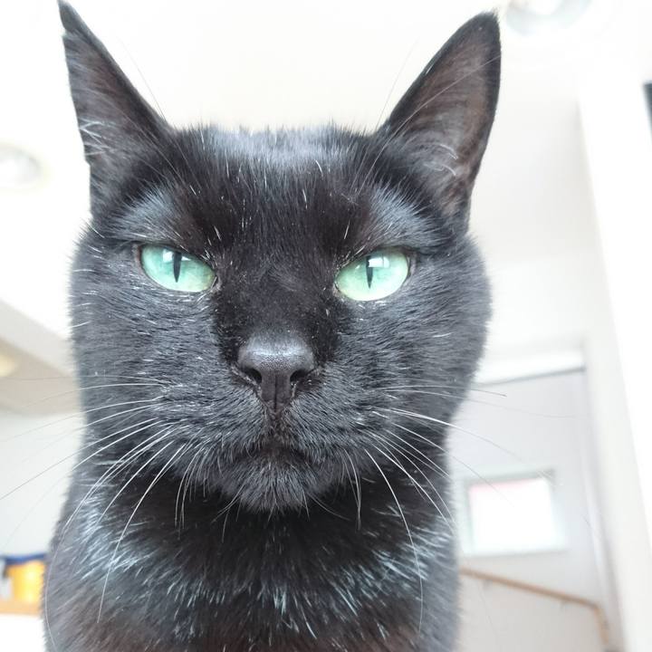 2fa1e32f 765e 460f aeaf 2ee12807c11a 1523852075192