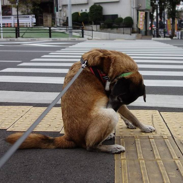 2fa20ab0 f476 4751 85df 833e69548d0b 1511237592216