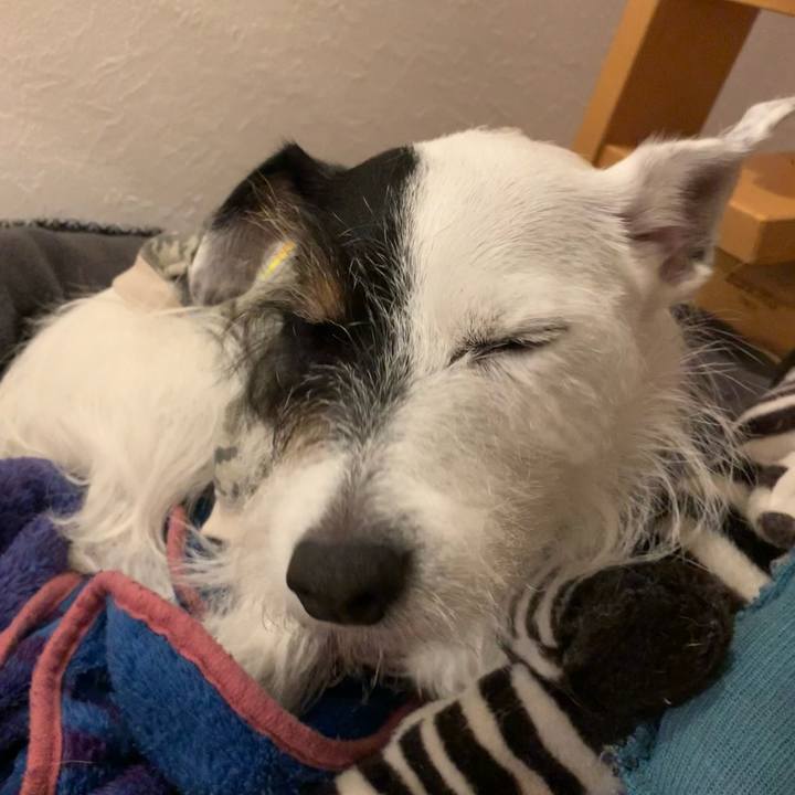 2fa2403a ebfd 451b 948c d10b4886c625 1669457516240