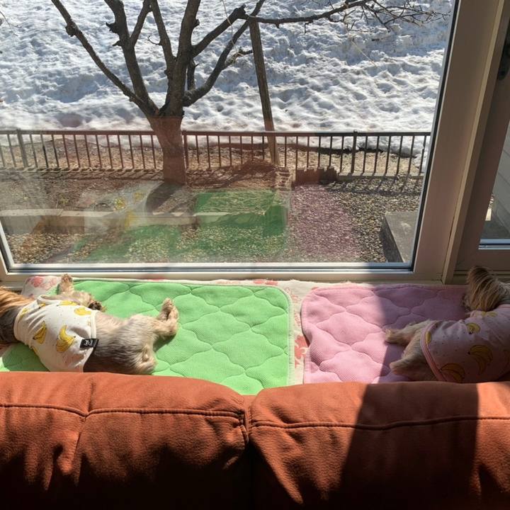 2fa247ac 0c8a 4c5a a563 22670f944aa1 1617615061204