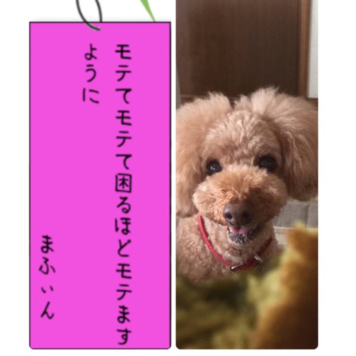 2fa2532f b370 4ab2 8ac5 5262e7c00bde 1530942935401