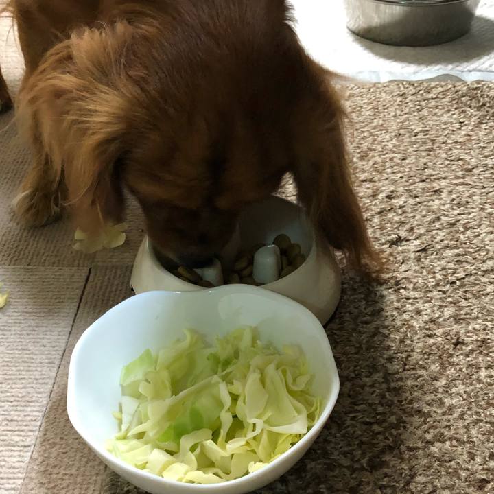 2fa283dc be36 4f01 8e62 1633f98244c6 1549974138702