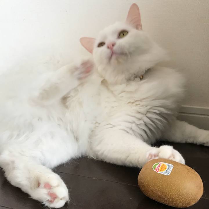 2fa28ba3 0dbb 4153 ac70 bdb03d7d44bf 1536552499947