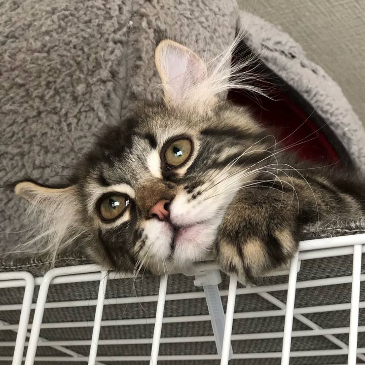 2fa28c5a 369c 4271 bd86 bdd8df943425 1556336671302