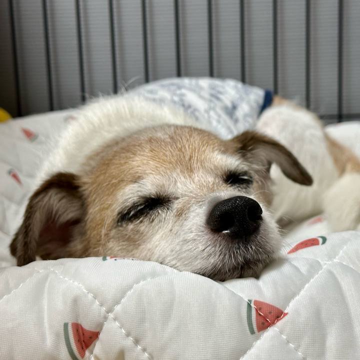 2fa2c284 a499 4ab2 ad07 61dfba4be540 1692513607354