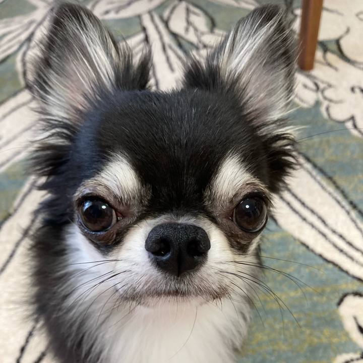 2fa2d722 815c 4a0c a02f d396bf240e0a 1629502089339