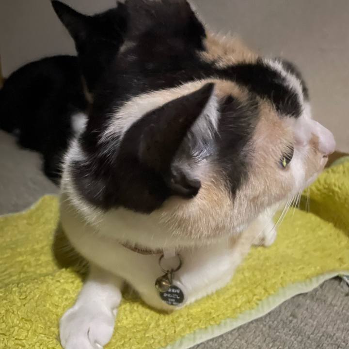 2fa315f6 7da0 4301 89d9 2fe29eb38837 1746454717229