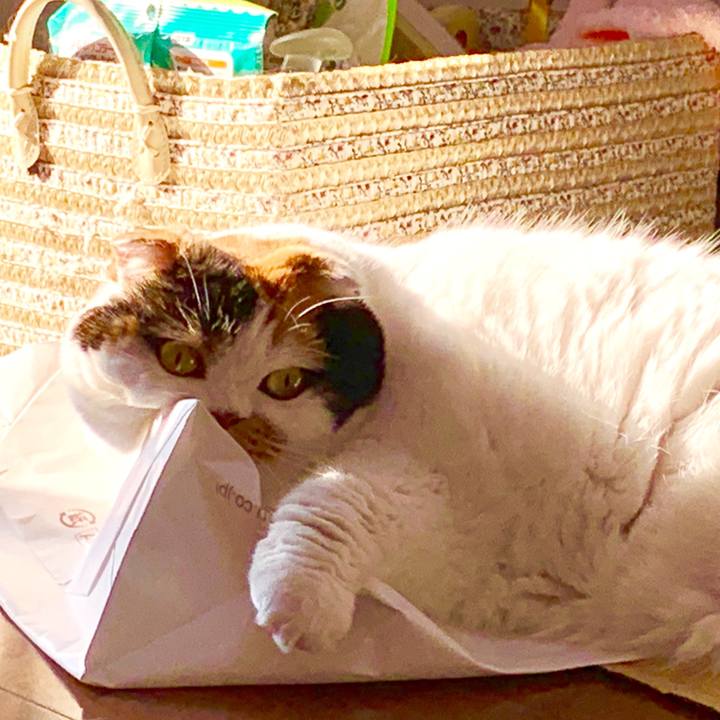 2fa32523 3c49 4373 91a8 1adf73241bb8 1568068451539