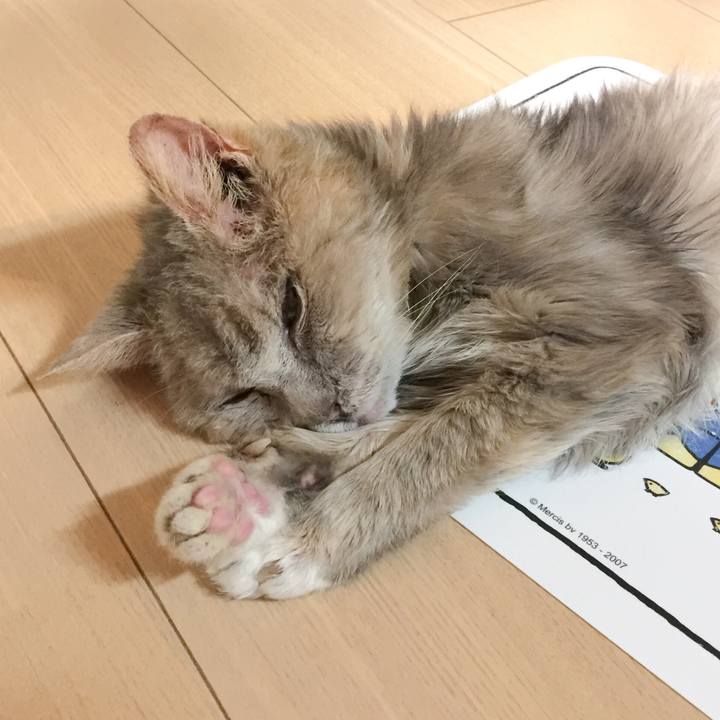 2fa34bbe 3b32 4ff4 be59 0e3a8264016b 1586957034671