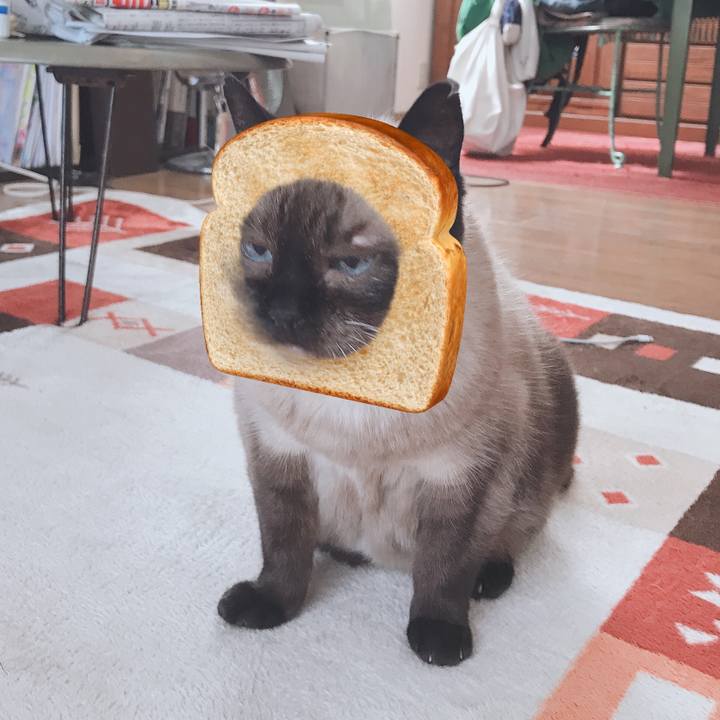 2fa35ff9 b1ca 4b15 ae38 0614de5a331f 1566707775182