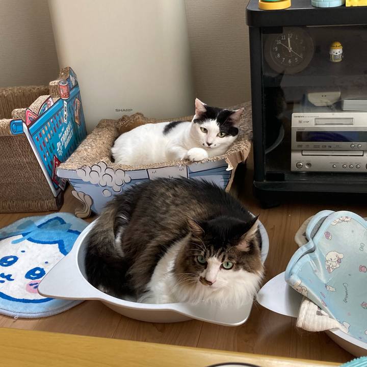 2fa36d00 ffc8 4825 9869 d2e4a24ee4b9 1757991633528