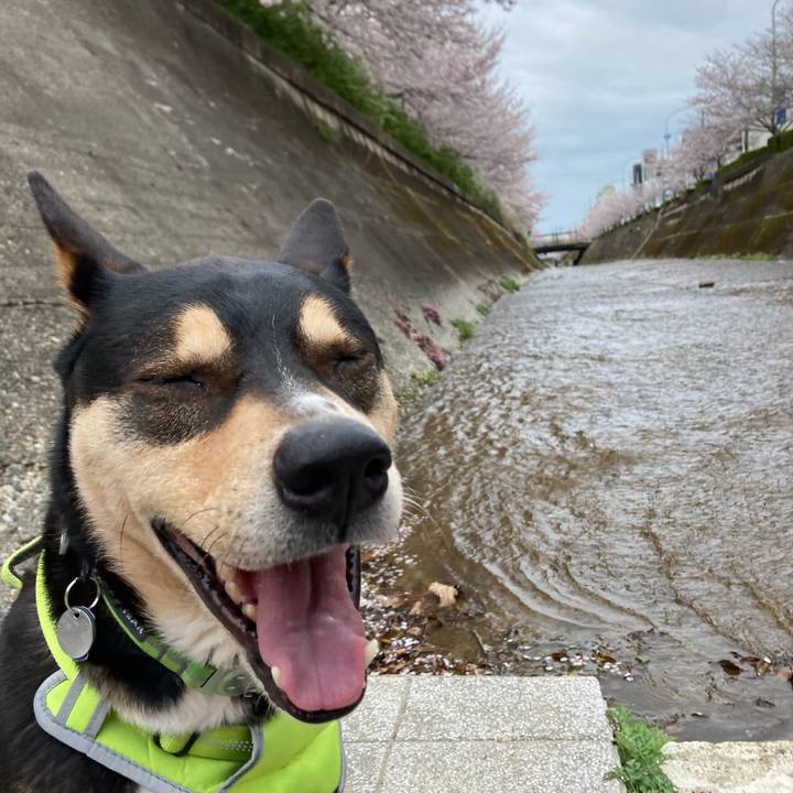 2fa38ccc 942a 4cdc 8d6c 008a1a87ff59 1648956182629