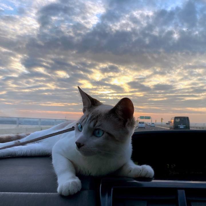 2fa38ea0 ab42 4f55 a0af 8128c6869d6e 1610925209542