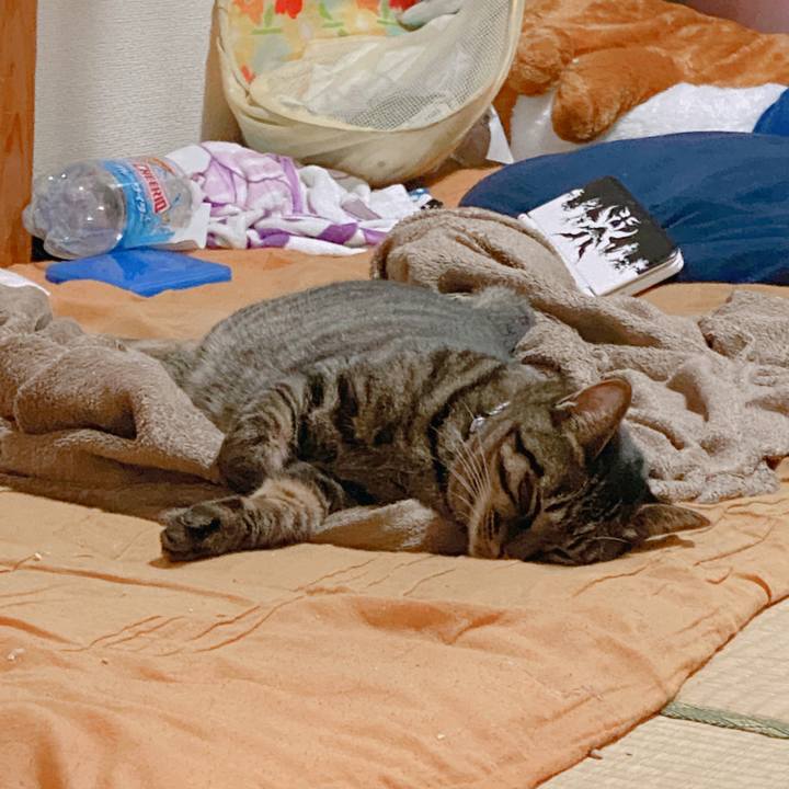 2fa3936d dff0 45fc aa16 788094f2305b 1596811206636