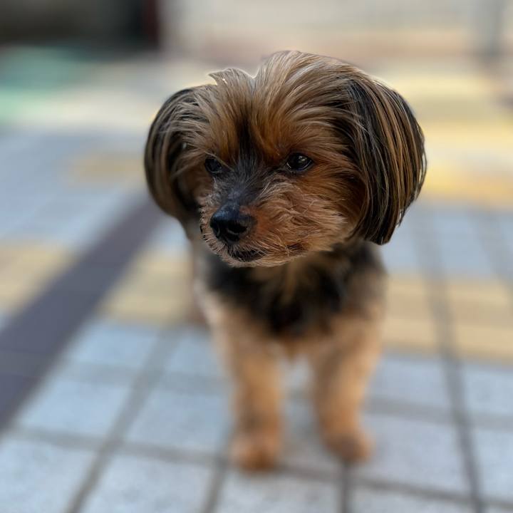 2fa3a7a8 eb14 40c2 8fbb 3510876467be 1715985480400