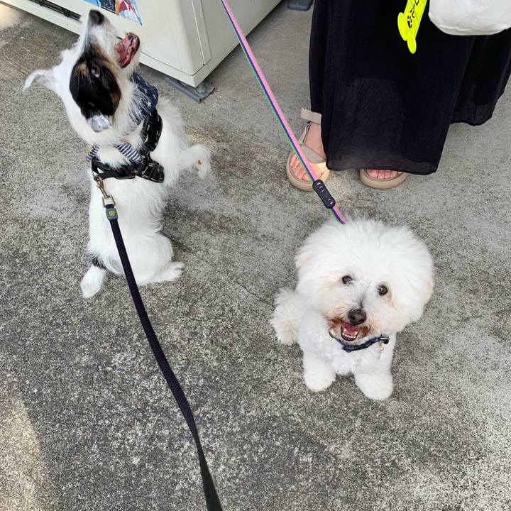 2fa40614 73a5 409d b6d4 935e9293a6e0 1721948002827