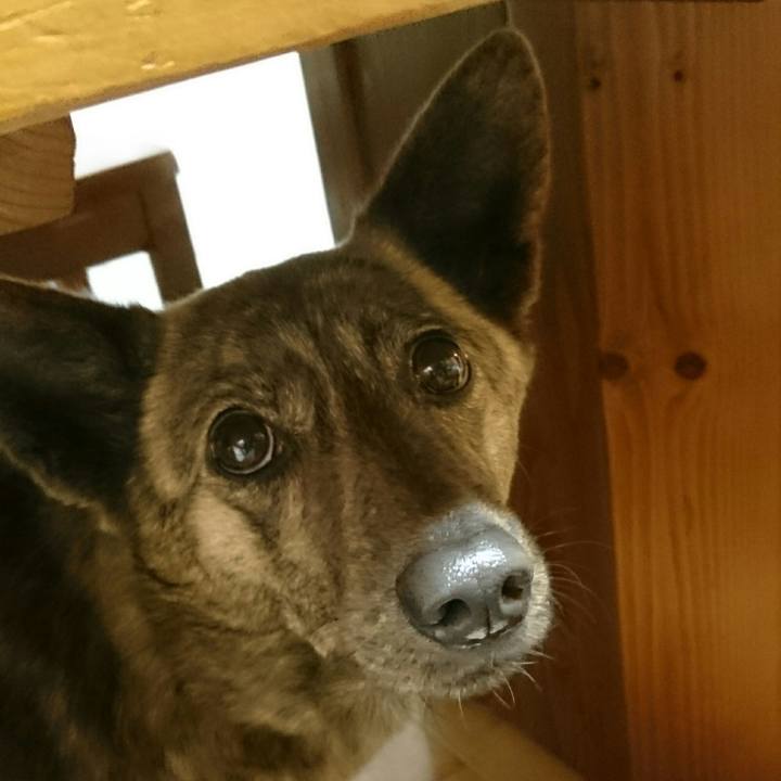 2fa45ebf 1fd4 45f1 8050 0e7f64cba9a0 1515672532612