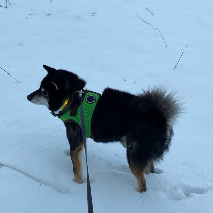 2fa4668d 5496 4ad6 8079 dddb0da30ff9 1734996313556