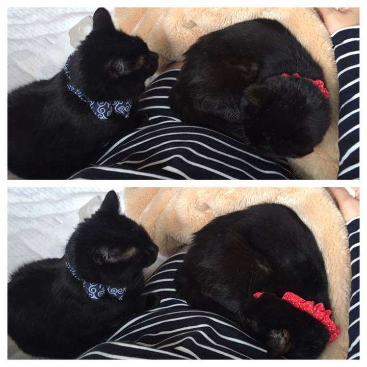 2fa49fe7 ed38 4fef ba9a 9f5c8c40595a 1553119394800