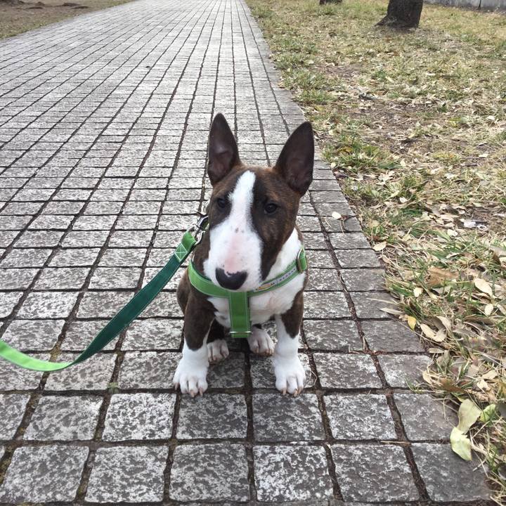 2fa4e705 6cdf 4814 b8e6 c604d307d1e7 1550994619741