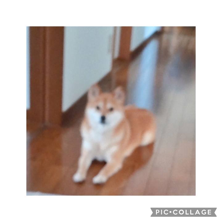 2fa4f095 dd21 40a9 8bd9 a81cb6acb14c 1745200004972