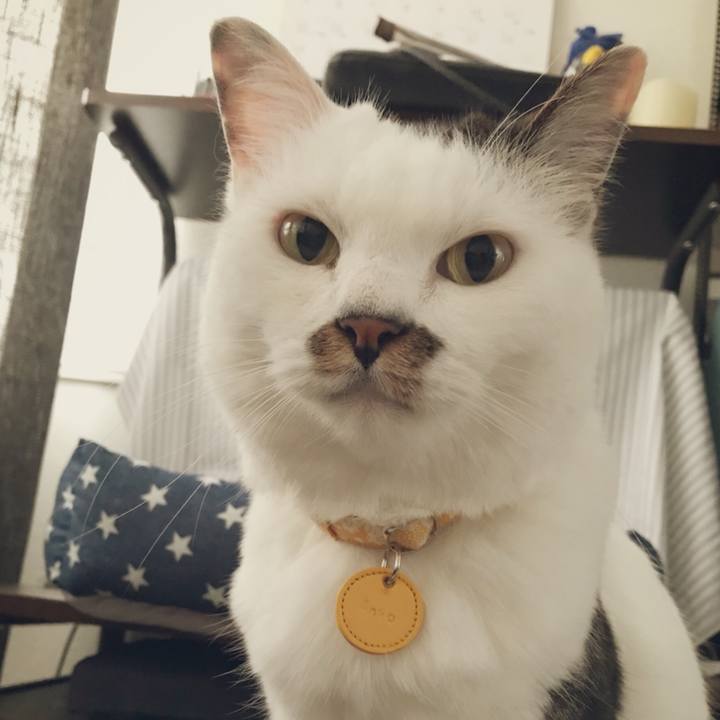 2fa503a1 450e 491d 8f31 5ce7a66966d7 1533803584547