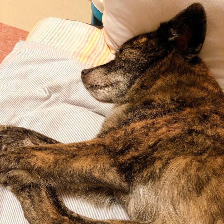 2fa5224b 8d42 4180 ae4b 3ebcb9376f93 1596036451608