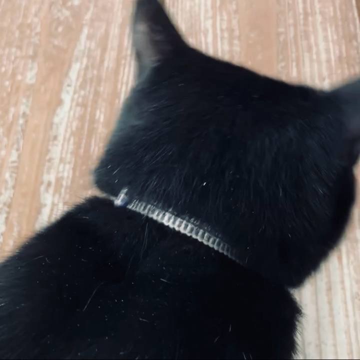 2fa534a6 aad2 4235 b4ac 6581ceec29ab 1730090954208