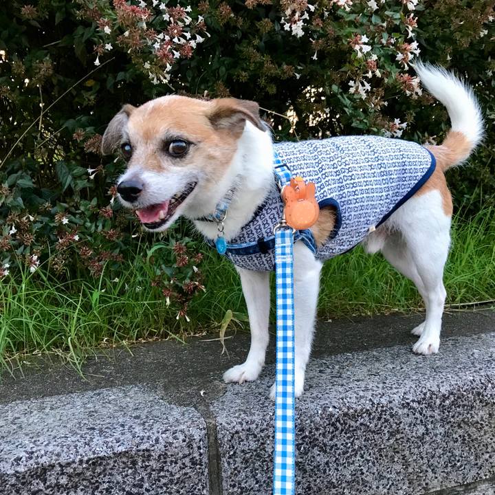 2fa53888 4de5 456e 9192 8fd3e15219da 1596535218796