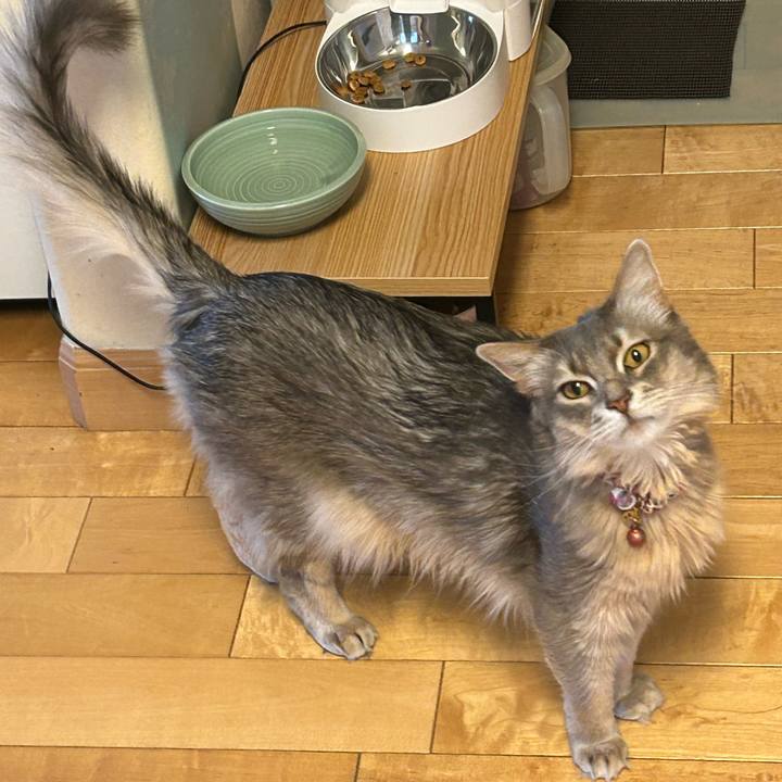 2fa554cf ad6f 4839 a3c1 649fc3f98479 1769735885731