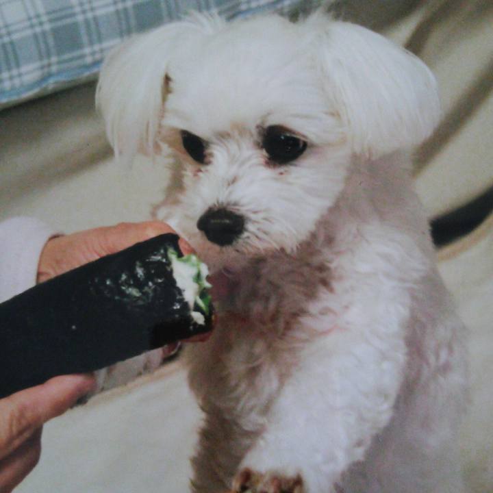 2fa56054 5fc9 4e37 bb64 21b45b7b5f5b 1517638190199