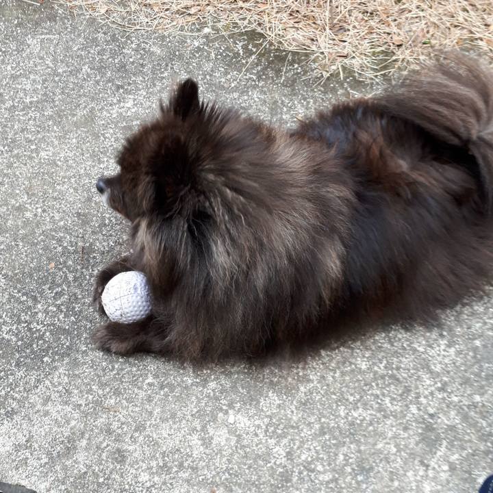 2fa587f3 01d8 4f18 81ae 7fbdd82cf080 1519257690964